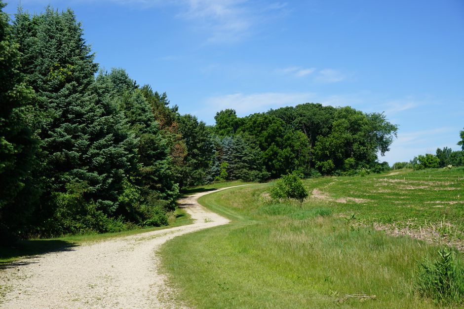 A Balanced Approach To Wellness as a Daily Habit — Part 2