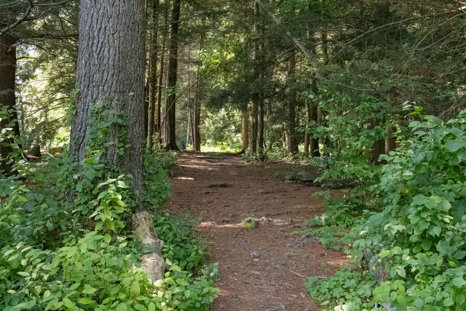 A Balanced Approach To Wellness When You're Short on Time