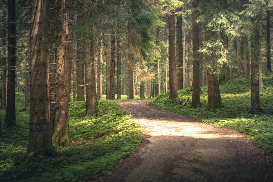 A Balanced Approach To Wellness: Where to Start