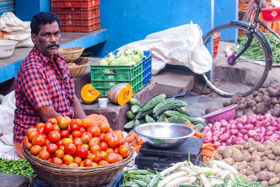 Building a Daily Routine Around Health Through The Seasons