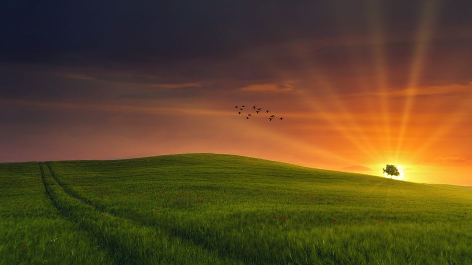 Building a Daily Routine Around Mental Health Is Health