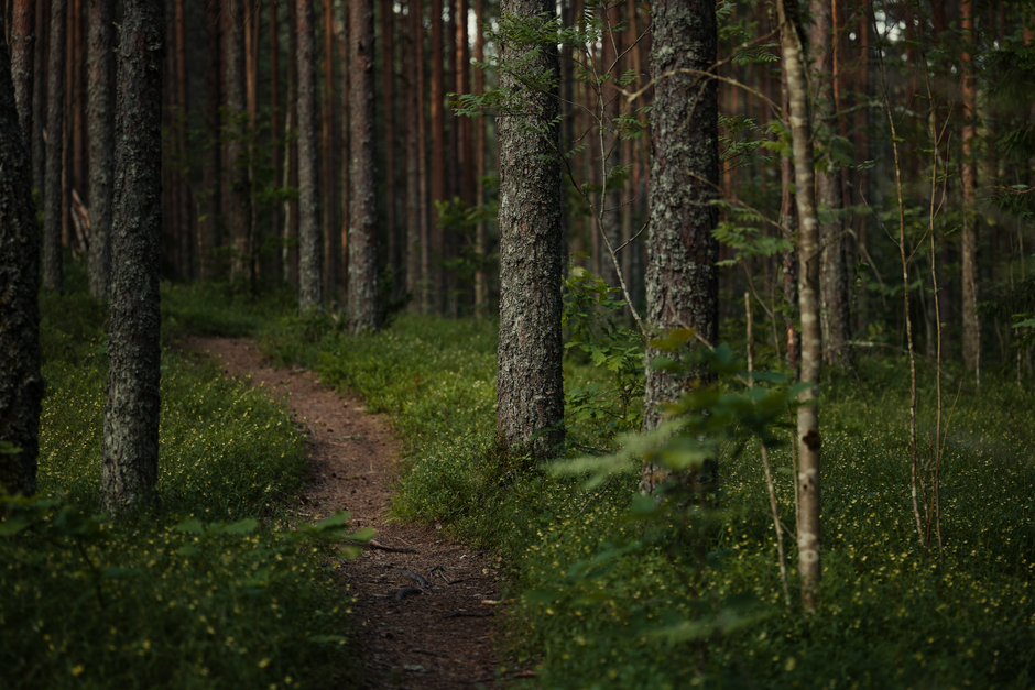Building a Daily Routine Around Recovery, Rest Days And Overdoing It, in Plain Language