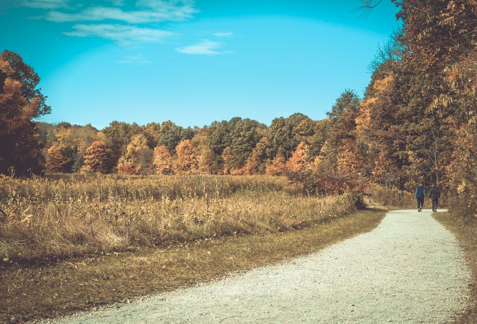Caring For Your Overall Health: A Time-Friendly Approach