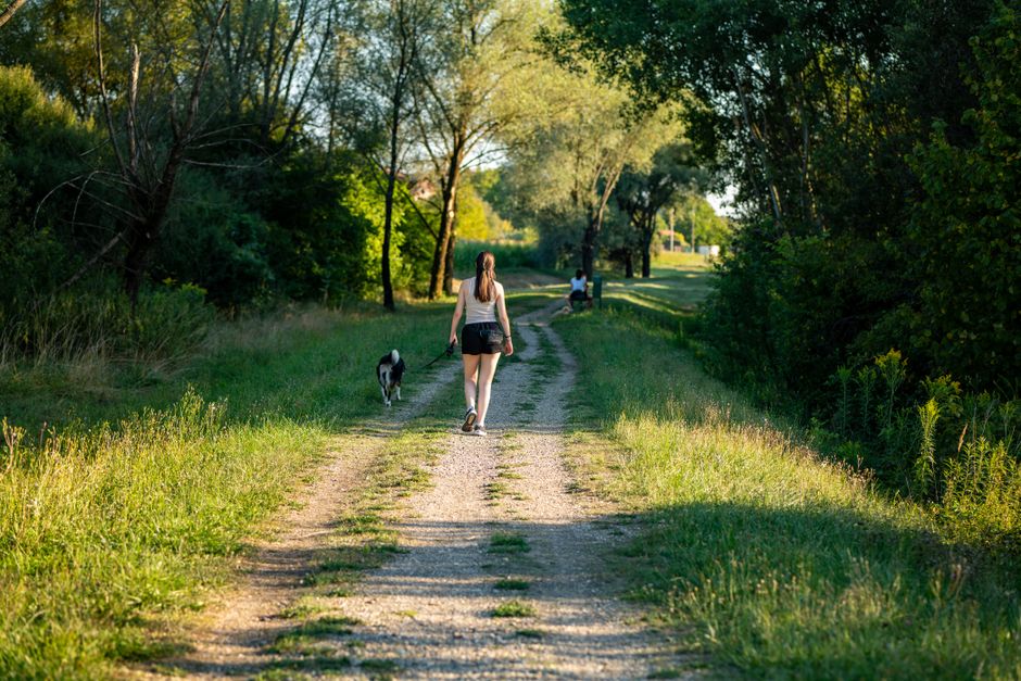 Caring For Your Overall Health: Making It Part of Your Day
