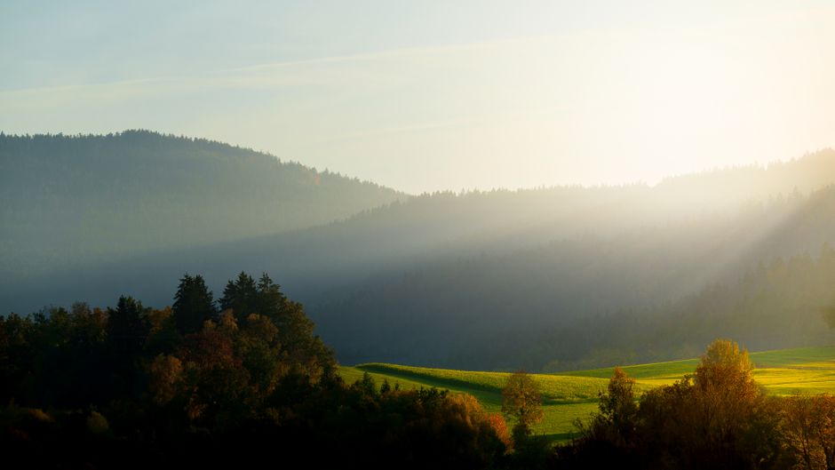 How to Complete the Stress Cycle and Truly Unwind