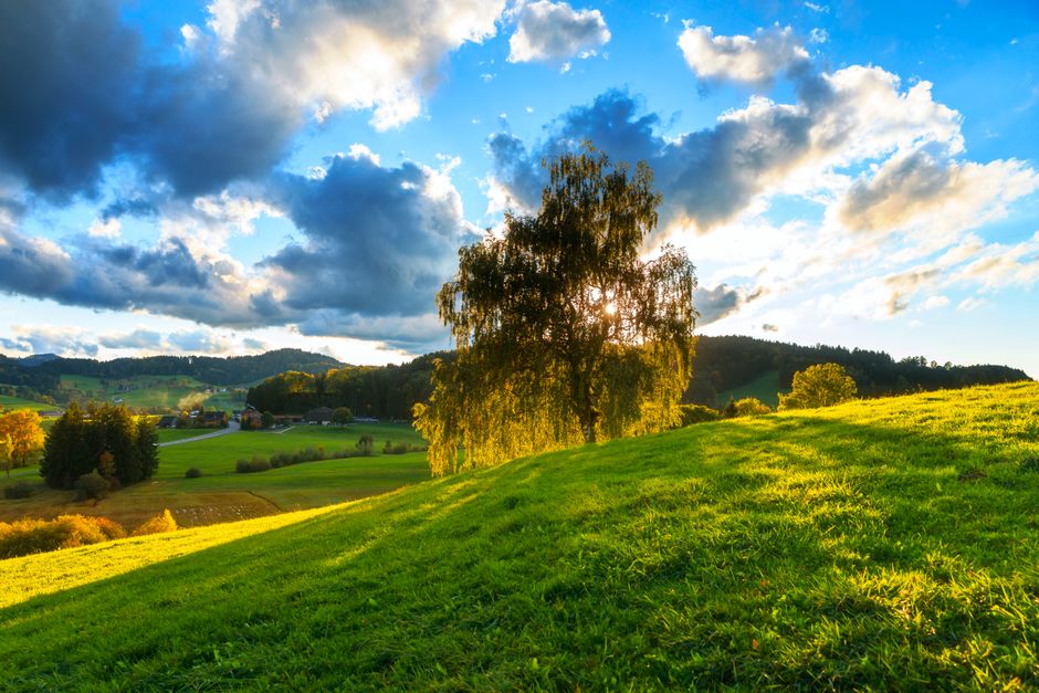 Getting Started With The Social Side Of Well-Being — Part 2