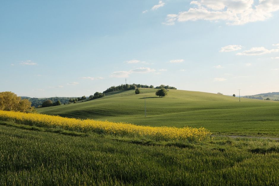 Motivation, Discipline And Self-Compassion: A Simple, Practical Guide — Part 2