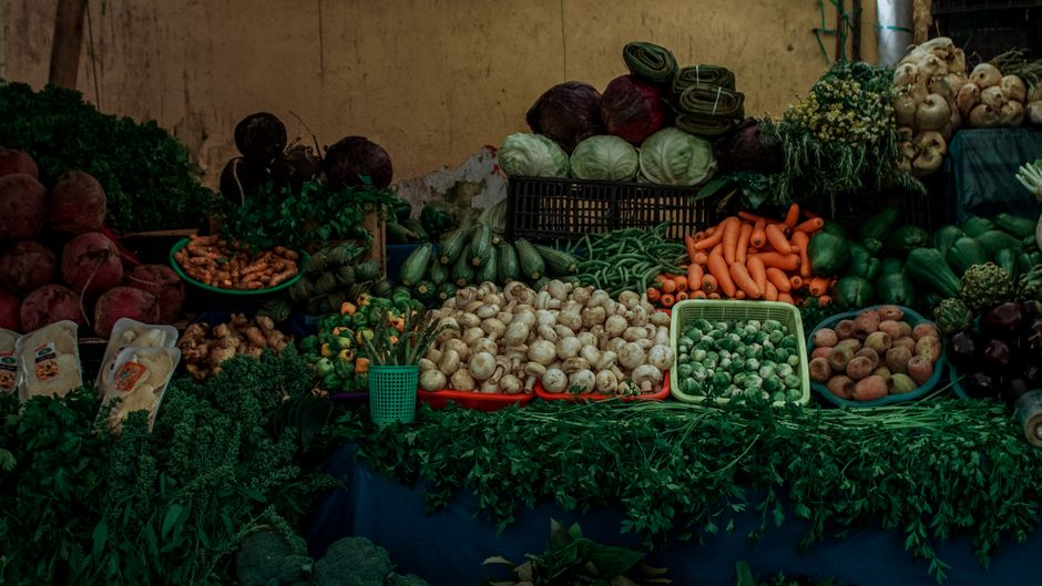 Small Daily Wellness Habits for Lasting Energy and Health
