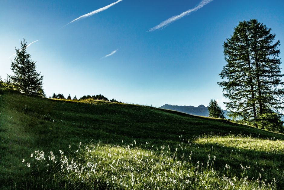 Small Lifestyle Changes That Matter: A Beginner's Guide — Part 2