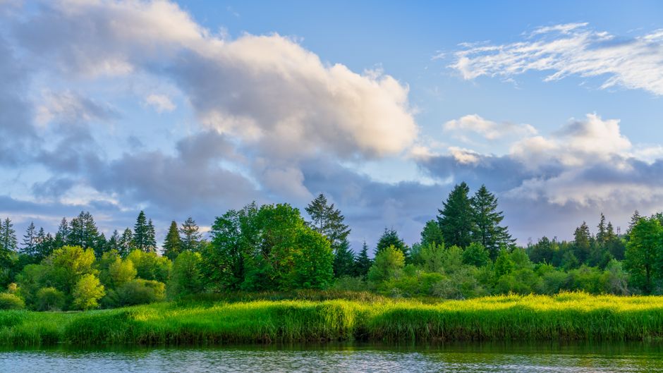 Small Lifestyle Changes That Matter: What Actually Works — Part 2