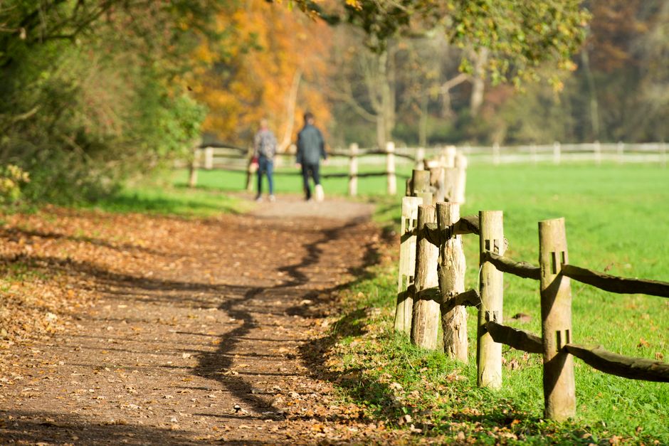 Starting Again After A Setback: Myths and Facts