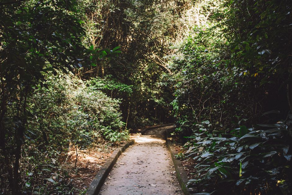 The Habit Of Moving Through The Day in Your 40s, 50s and Beyond
