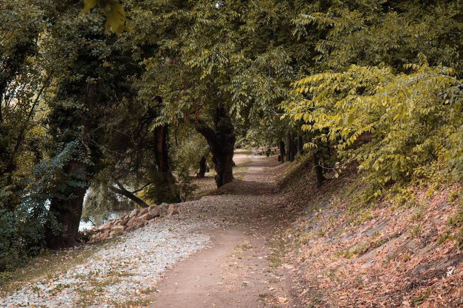The Habit Of Moving Through The Day: Sorting Fact From Fiction