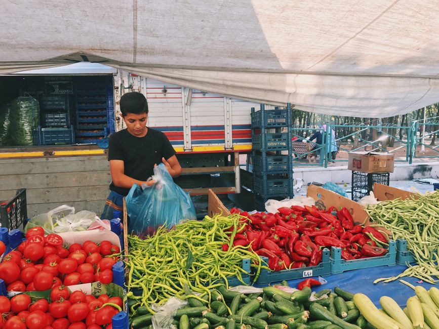 The Many Meanings Of A Healthy Diet: A Simple, Practical Guide
