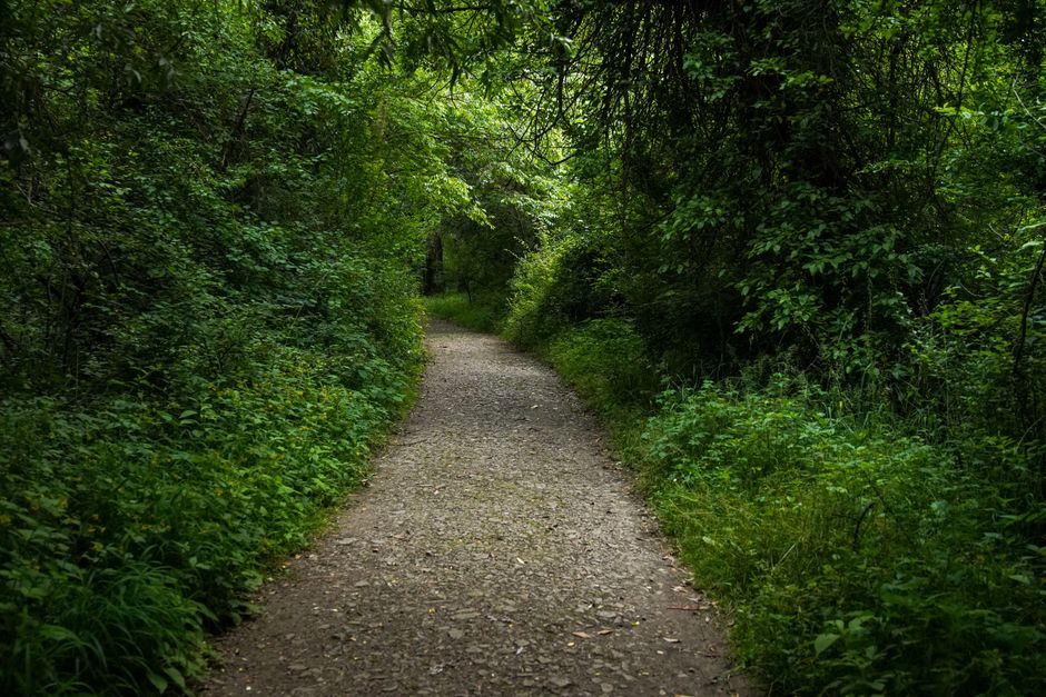 The Ordinary Virtues Of Walking: Myths and Facts