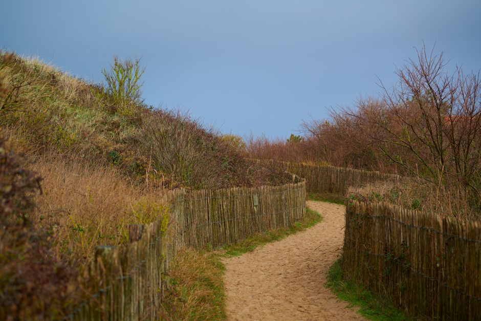 The Pleasure Principle In Healthy Living When You're Short on Time — Part 2