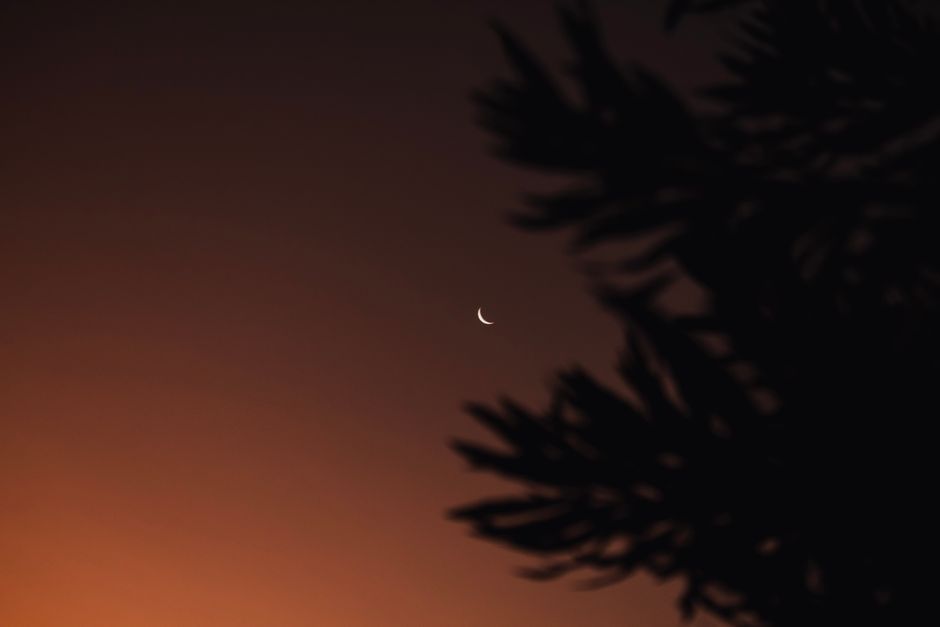 The Quiet Importance Of Rest: A Beginner's Guide