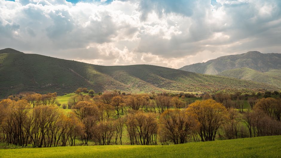 Understanding Health And Wellness: Practical Steps You Can Use