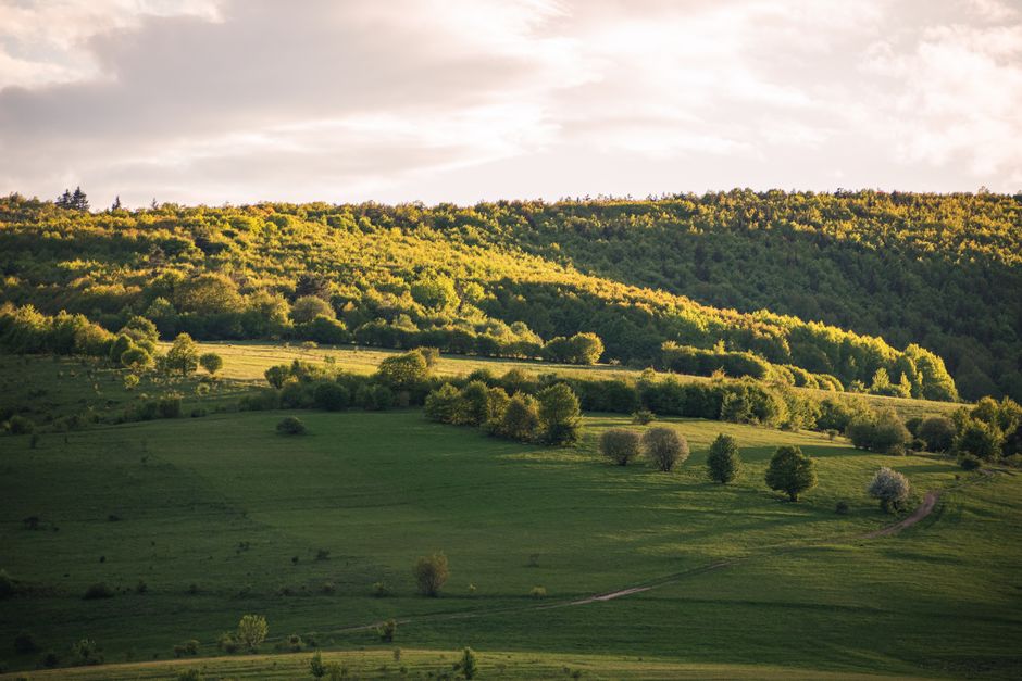 Understanding Health And Wellness: Where to Start — Part 2