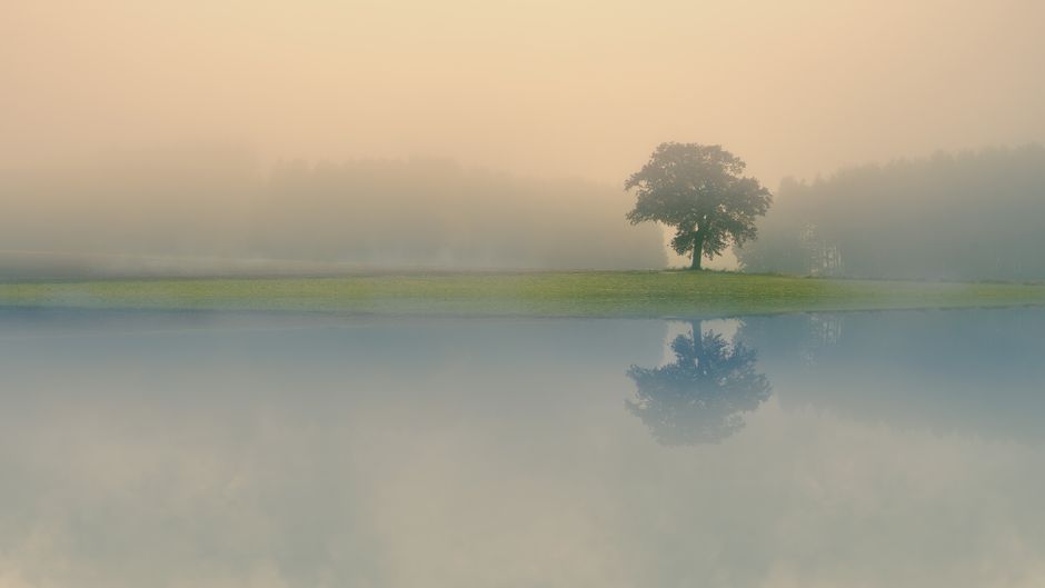 Understanding The Social Side Of Well-Being in Plain Terms