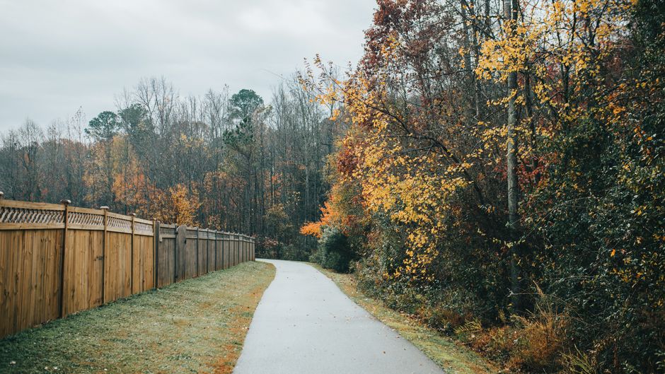 Understanding Wellness At Different Life Stages in Plain Terms