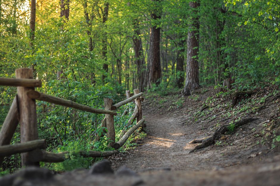 Wellness At Different Life Stages: A Simple Checklist
