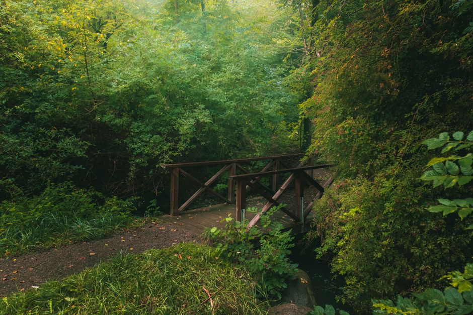 Wellness At Different Life Stages: What Changes With Age