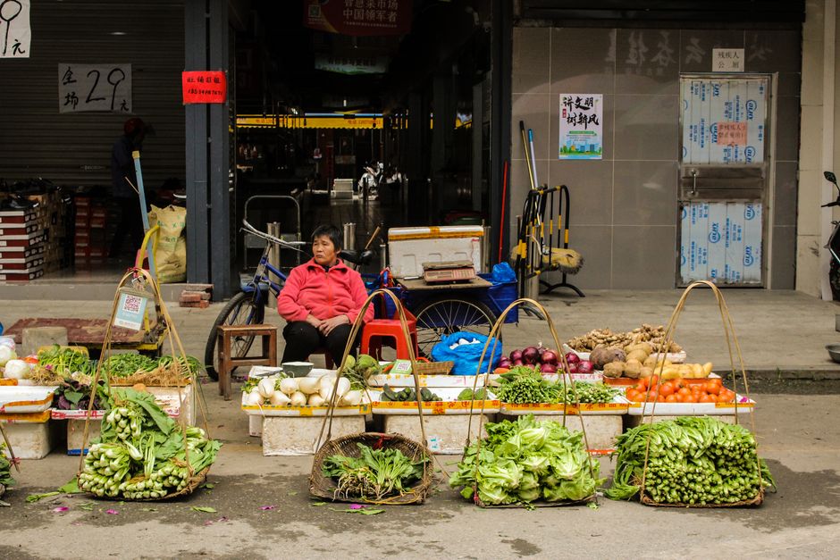 Wellness For Everyday Life: A Beginner's Guide